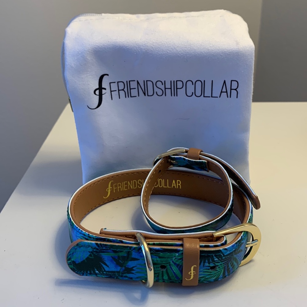 XS Dog Friendship Collar